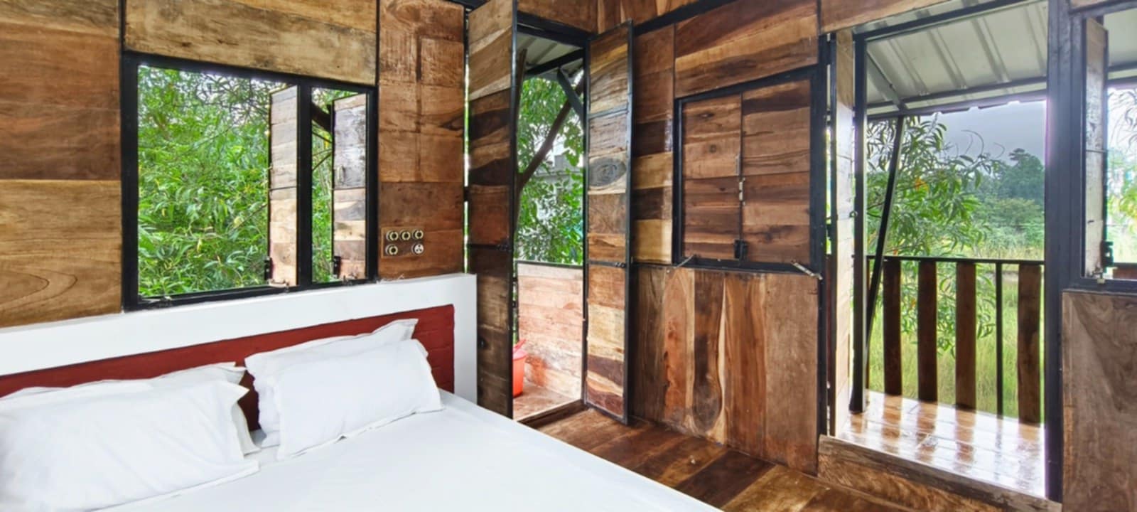 Tree House Upper (Non AC) Room No 115